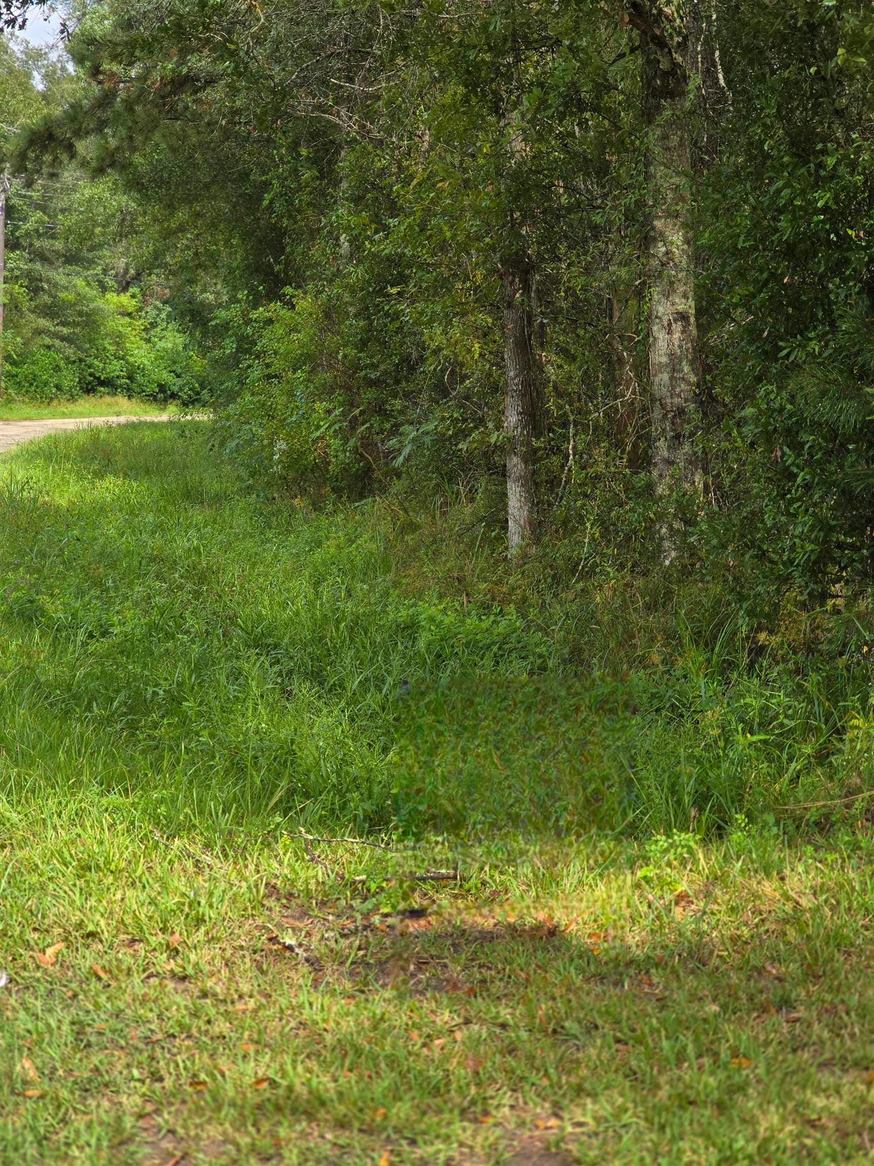 2985 County Road 786, Buna, TX 77612