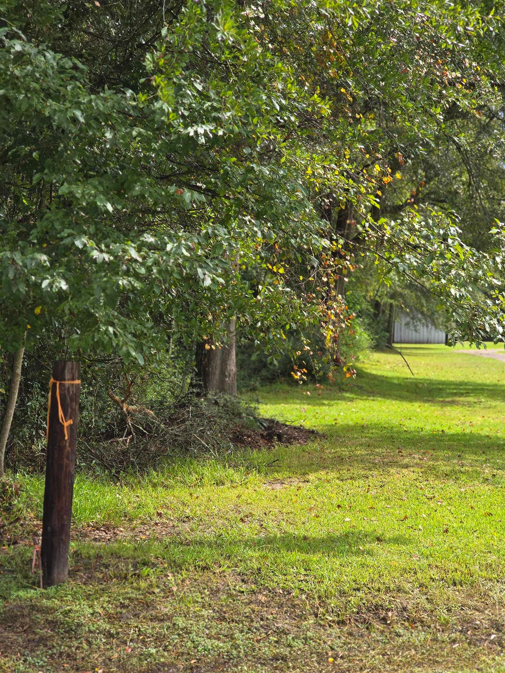 2985 County Road 786, Buna, TX 77612